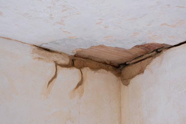 Water damage restoration mold remediation in ID