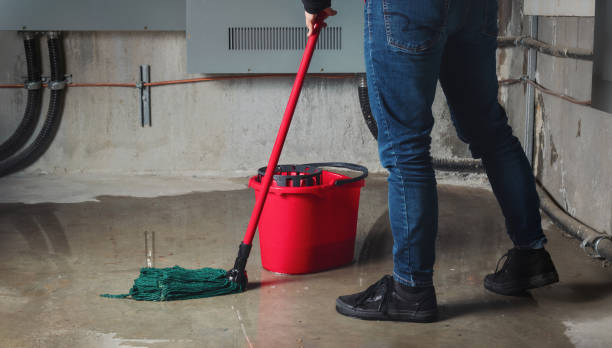 Best Mold removal after water damage  in Montpelier, ID