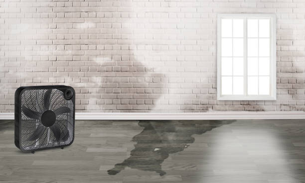 Best Ceiling water damage repair  in Montpelier, ID