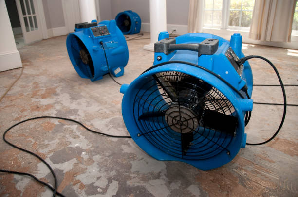 Best 24/7 water damage repair  in Montpelier, ID