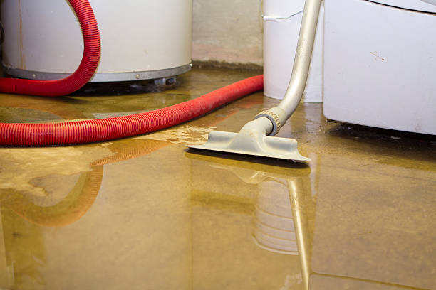 Best Flood restoration services  in Montpelier, ID