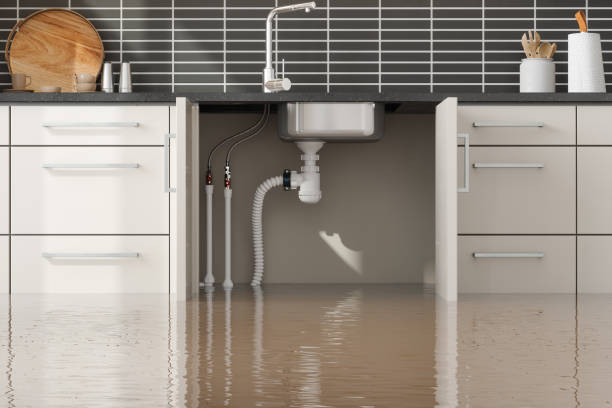 Best Residential water damage restoration  in Montpelier, ID