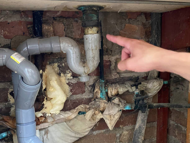 Best Fire Damage Restoration  in Montpelier, ID